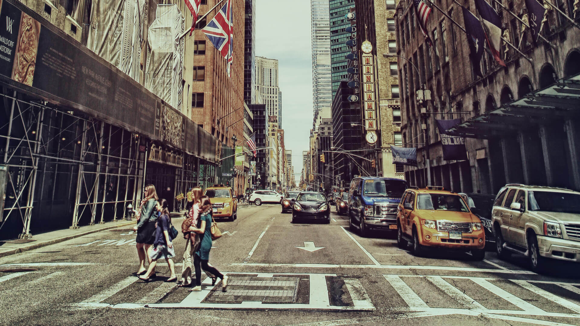 Helping worldwide  companies to grow